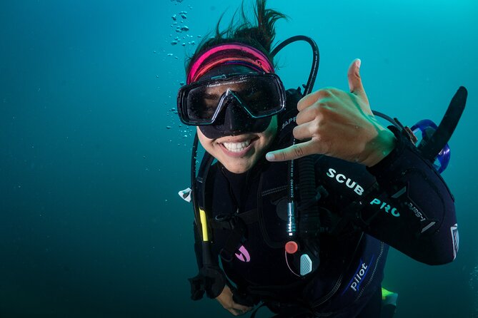 2 Dives in the Cabo Marine Park - Land’s End and the sea lions