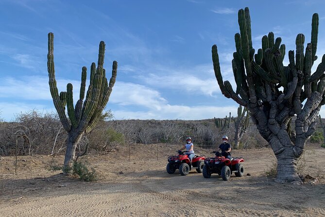 2-Hour ATV Riding Experience in San Jose del Cabo - Understanding the real cost