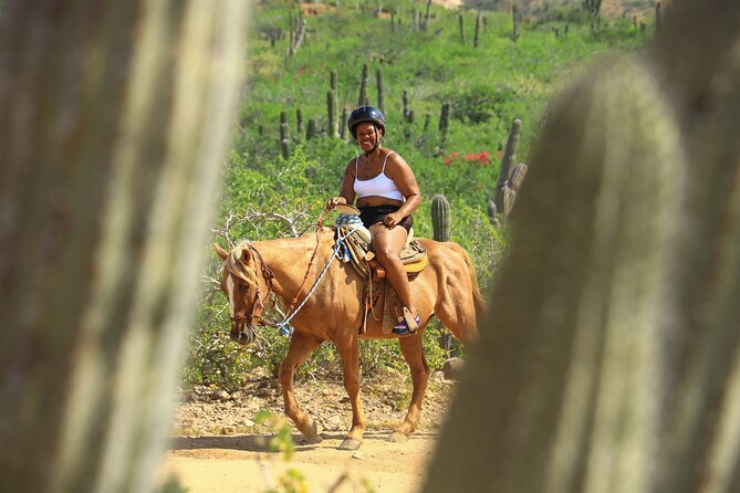 2 Hours Horseback Riding Adventure in Cabo - Meeting the horses and visiting the animal sanctuary