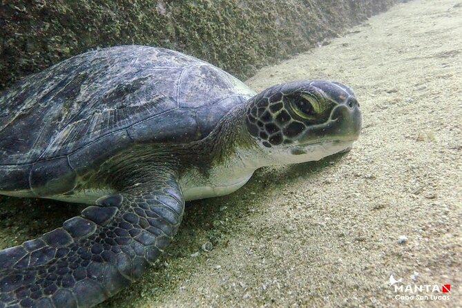 2-Tank Scuba in Marine Reserve and Corridor for Certified Divers - Weather, visibility, and the right season