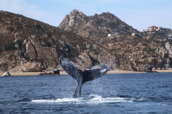 2-Tank Scuba in Marine Reserve and Corridor for Certified Divers - Cancellation and planning details
