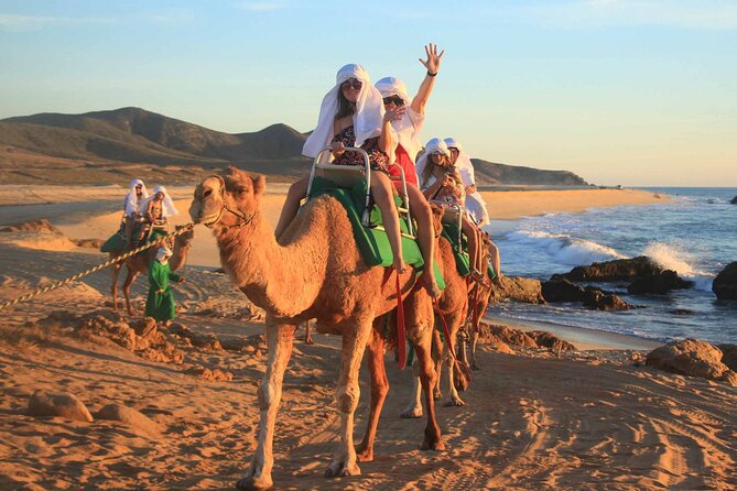 2x1 Tour: Cabo San Lucas Arch + Camels Ride + Pick up! - Who will enjoy this combination most