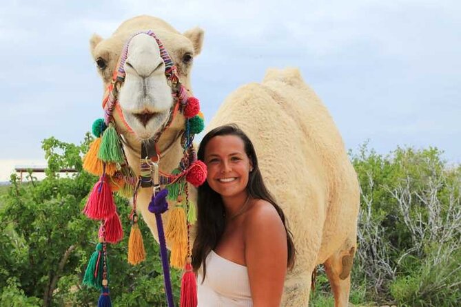 2x1 Tour: Cabo San Lucas Arch + Camels Ride + Pick up! - My call: book it if variety matters more than depth