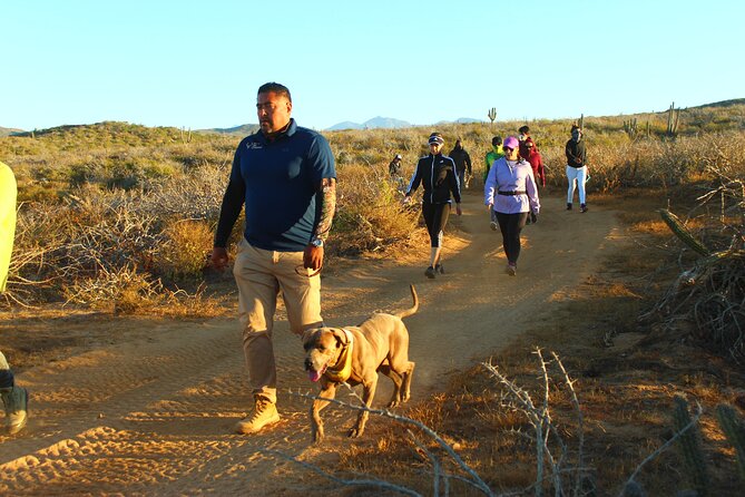 3 Hour Hiking Activity at the Hidden Arch Of Los Cabos - A local breakfast at Quelele