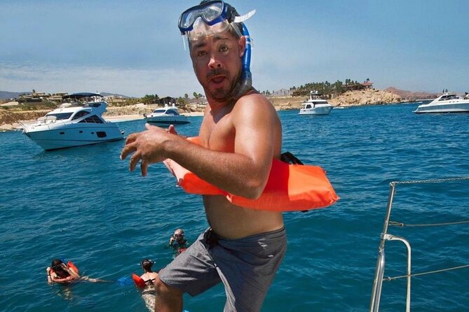 3 hour Snorkeling and Catamaran in Cabo San Lucas - Whale sightings can change the whole day