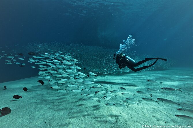 3-Tank Scuba in Marine Reserve and Corridor for Certified Divers - Why the three-tank plan works in Cabo
