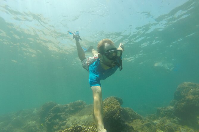 4-Hour Snorkeling Tour in Cabo San Lucas and Corridor - The Arch and sea lions in 10 minutes