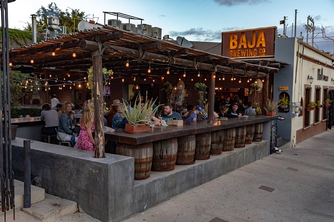 4 Hours Art Walk Experience in Cabo - Key points to know before you book