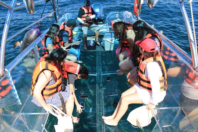 45 Minute Transparent Boat Ride to the Arch of Cabo San Lucas - What $45 really gets you