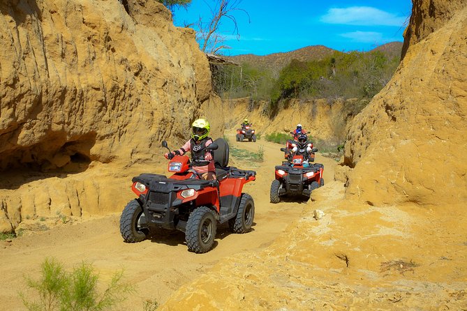 4x4 ATV Adventure with Tequila Tasting and Mexican Buffet Lunch - What the tequila and mezcal tasting really includes