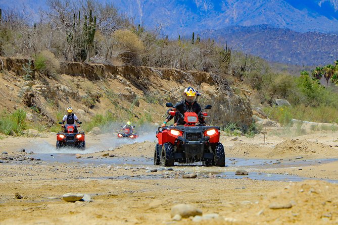 4x4 ATV Adventure with Tequila Tasting and Mexican Buffet Lunch - The real price: $75 plus $60 in required charges