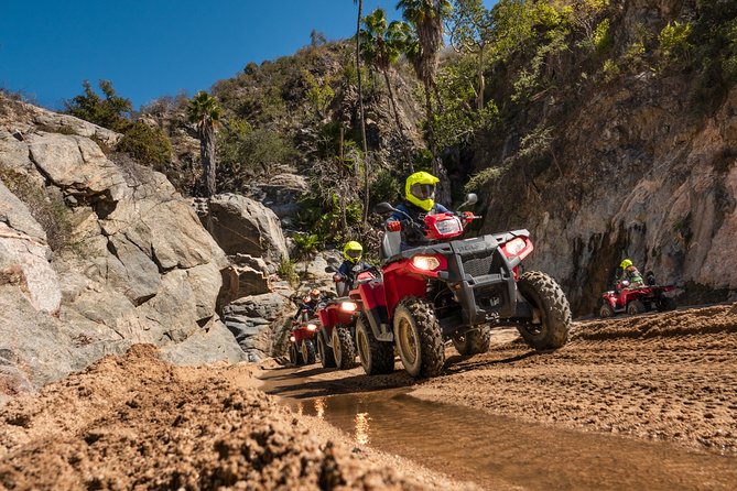 4x4 ATV Adventure with Tequila Tasting and Mexican Buffet Lunch - Who will enjoy this Cabo excursion