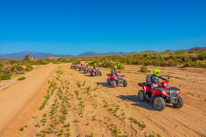 4x4 ATV Adventure with Tequila Tasting and Mexican Buffet Lunch - Timing, weather, and cancellation details