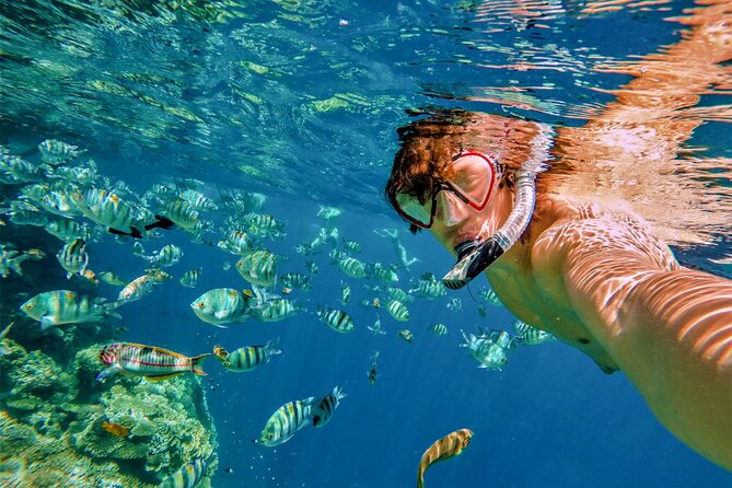 All Inclusive Cabo Boat Tour: Snorkeling, Food, and Drinks - Is $100 a fair price for Cabo?