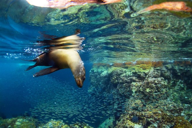 All-Inclusive catamaran Espiritu Santo Island Tour from Los Cabos - Breakfast, snacks, and an open bar from the start