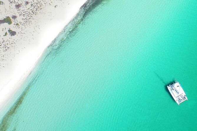 All-Inclusive catamaran Espiritu Santo Island Tour from Los Cabos - Snorkeling, sea life, and time in the water