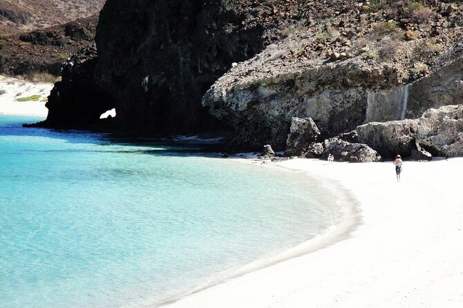 All-Inclusive catamaran Espiritu Santo Island Tour from Los Cabos - Why the $458.20 price may be reasonable