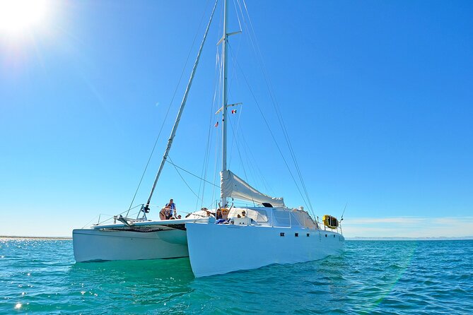 All-Inclusive catamaran Espiritu Santo Island Tour from Los Cabos - Who will enjoy this most