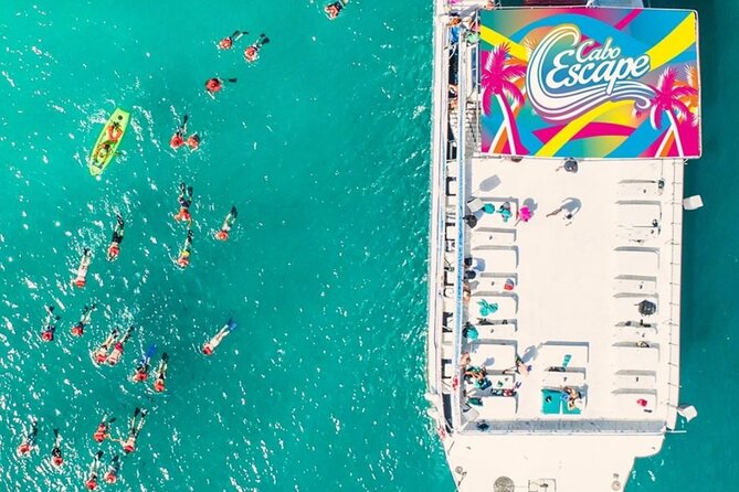 Amazing Cabo and Snorkel Adventure - Grilled tacos, quick drinks, and a DJ on the return