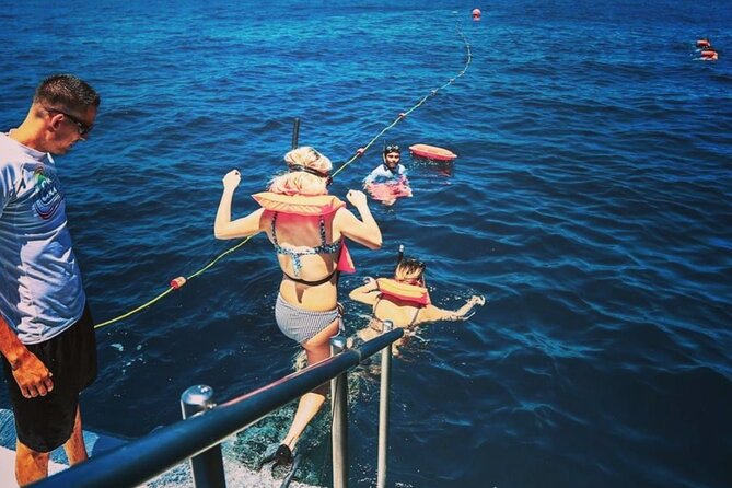 Amazing Cabo and Snorkel Adventure - What the $122.56 price includes