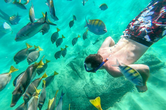 Arch Views & Snorkeling Paradise at Chileno Beach Private tour - What the $125 price really includes