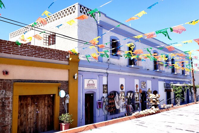 Art and Culture in Todos Santos - Is $125.53 per person a fair price?