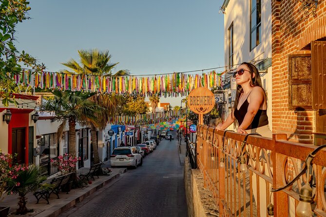 Art and Wine Evening City tour in San Jose del Cabo for Adults - Timing, pickup, and group size
