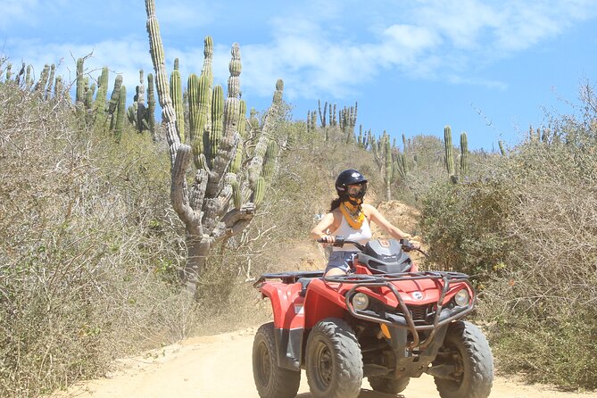ATV and Camel Experience Los Cabos - Why the 4 p.m. departure may be the smart choice