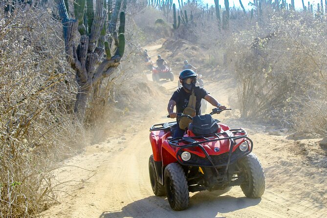ATV and Camel Experience Los Cabos - What the Transpeninsular Highway adds