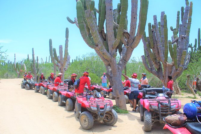 ATV Desert & Beach ride over the mountains and through Migrino beach! - Key points to know before you ride