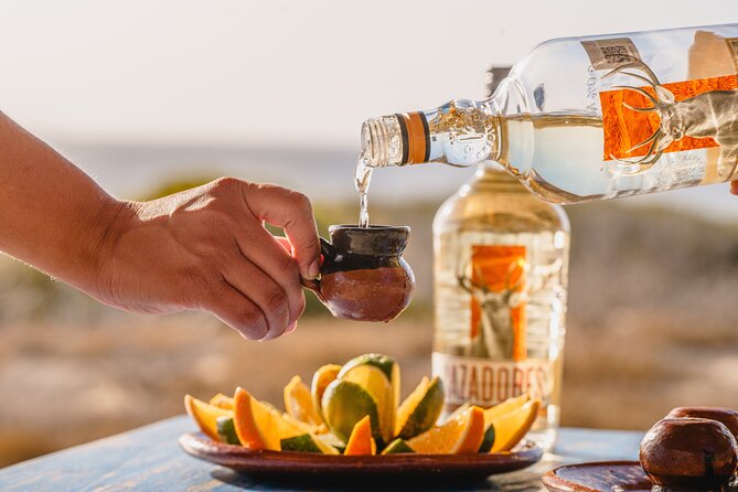 ATV Tour, Camel Ride, Tequila Tasting and Mexican Buffet Lunch - Key things to know before you book