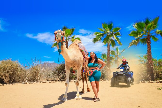 ATV Tour, Camel Ride, Tequila Tasting and Mexican Buffet Lunch - Tierra Sagrada puts desert and sea in the same frame