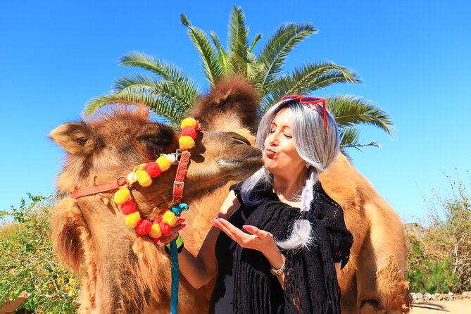 ATV Tour, Camel Ride, Tequila Tasting and Mexican Buffet Lunch - What the $149 price really buys you