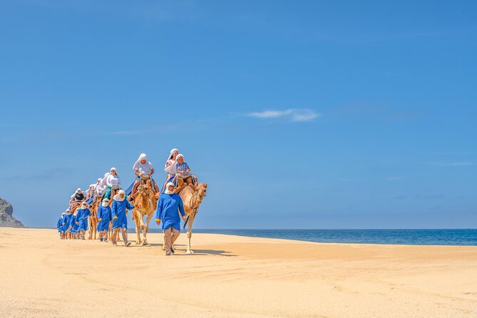 ATV Tour, Camel Ride, Tequila Tasting and Mexican Buffet Lunch - Practical limits and comfort concerns