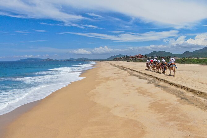 ATV Tour, Camel Ride, Tequila Tasting and Mexican Buffet Lunch - Who will enjoy this Cabo outing most