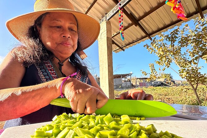Azteca Tacos Cooking Class - Key points to know before booking