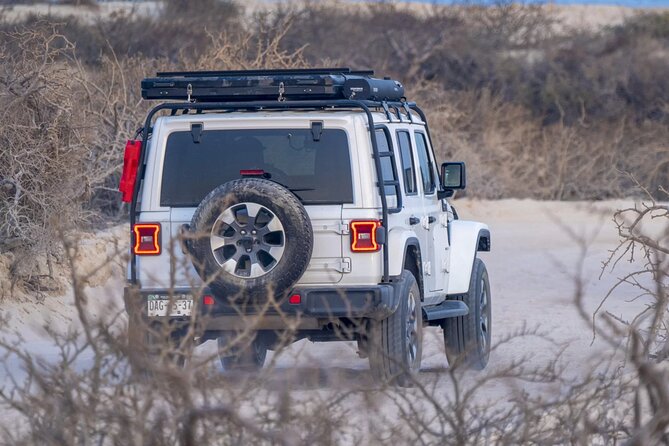 Baja Surf Expeditions - Boards, beach gear, and the hours between waves