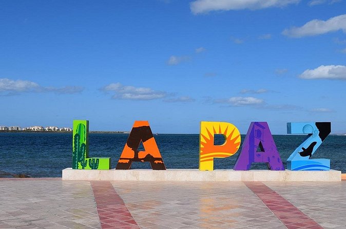 Balandra, La Paz & Todos Santos - What the van ride is like