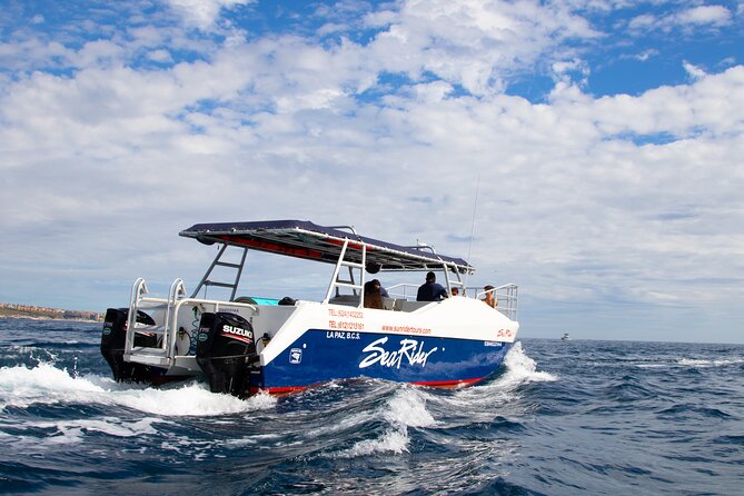 Bay Trip and the Arch of Cabo San Lucas - Who should book this one-hour outing