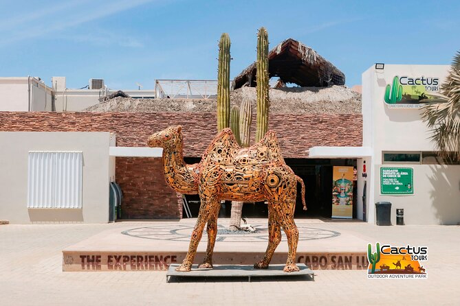 Beach and Desert Mini Razor Tour in Cabo - What the guide reports tell you to expect
