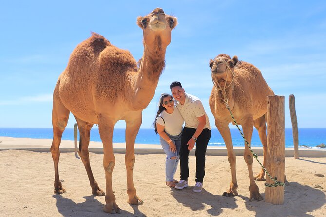 Beach, ATV, and Camel Ride Combo Tour - The camel ride is slower, calmer, and more scenic