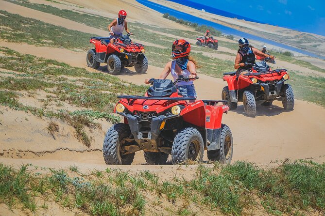 Beach, ATV, and Camel Ride Combo Tour - The $119 price needs a closer look