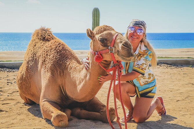 Beach Camel Ride and Encounter in Cabo - Transportation is the biggest planning issue