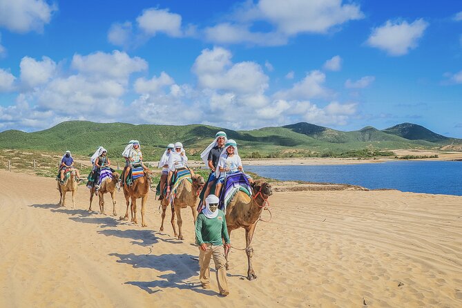 Beach Camel Ride and Encounter in Cabo - Animal care and safety deserve attention