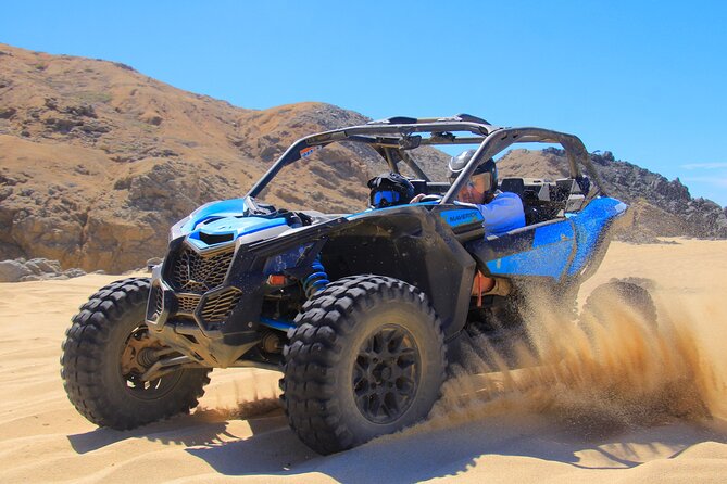 Beach Camel Ride and Sky Bike in Cabo - Price, park fees, and the real value