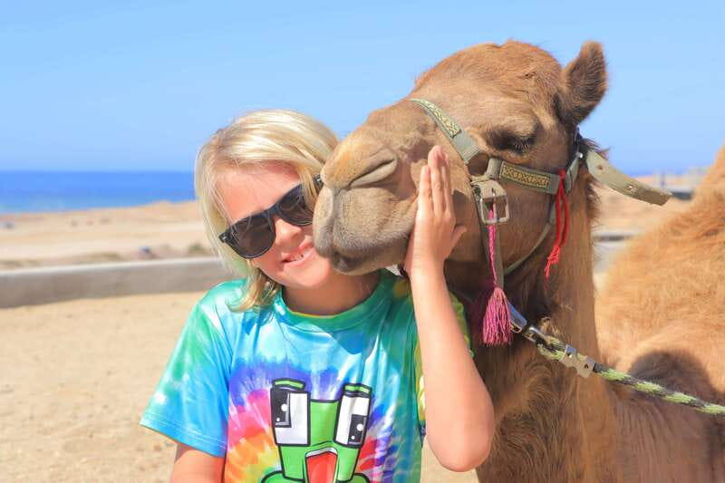 Beach Camel Ride & Encounter in Cabo by Cactus tours park - Key points to know before booking