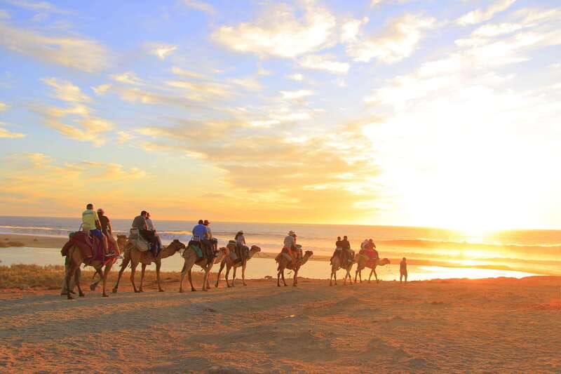 Beach Camel Ride & Encounter in Cabo by Cactus tours park - Tacos, drinks, and the tasting stop