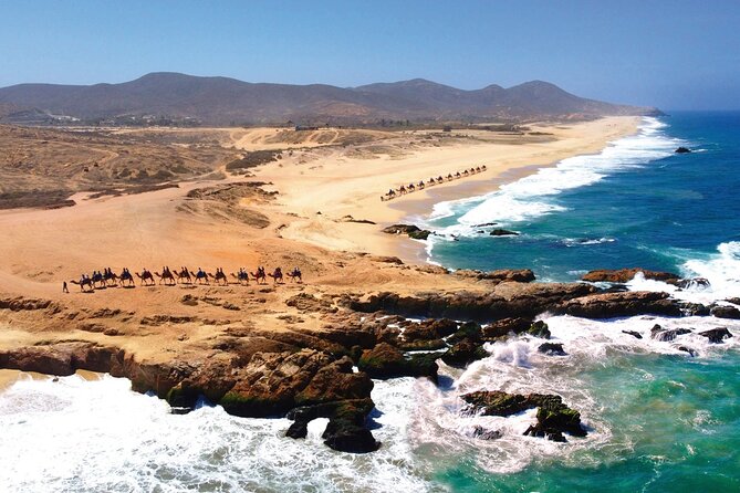 Beach CAN-AM SXS X3 and Camel Ride in Cabo - Food, drinks, and the tequila stop