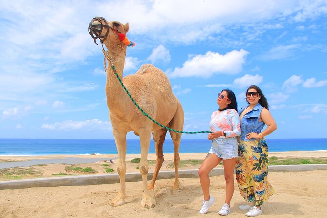 Beach CAN-AM SXS X3 and Camel Ride in Cabo - Practical tips for getting the most from the tour