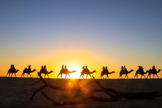 Beach CAN-AM SXS X3 and Camel Ride in Cabo - Starting at Cactus Park